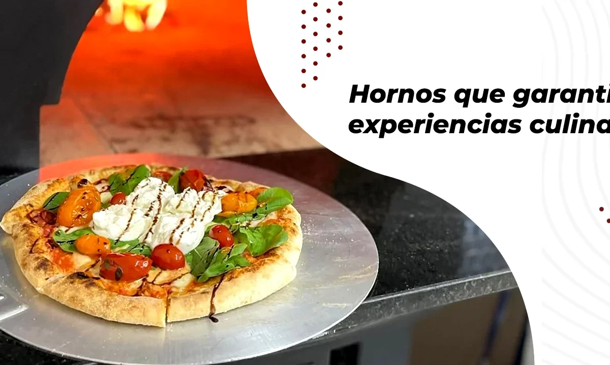 ¿Cuánto cuesta un horno napolitano para pizza?