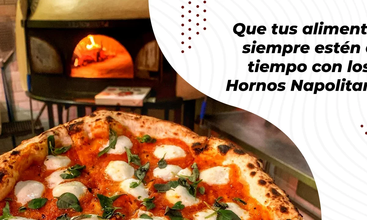 Conociendo las partes del horno napolitano